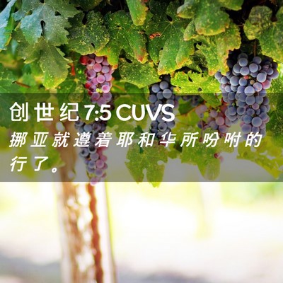 Picture 02 - 创 世 纪 7:5 CUVS - 挪 亚 就 遵 着 耶 和 华 所 吩 咐 的 - Bible Verse Picture