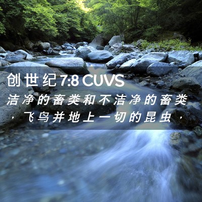 Picture 02 - 创 世 纪 7:8 CUVS - 洁 净 的 畜 类 和 不 洁 净 的 畜 类 - Bible Verse Picture
