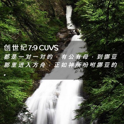 Picture 02 - 创 世 纪 7:9 CUVS - 都 是 一 对 一 对 的 ， 有 公 有 母 - Bible Verse Picture