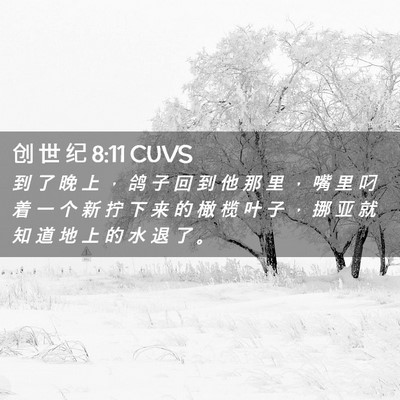 Picture 02 - 创 世 纪 8:11 CUVS - 到 了 晚 上 ， 鸽 子 回 到 他 那 里 - Bible Verse Picture