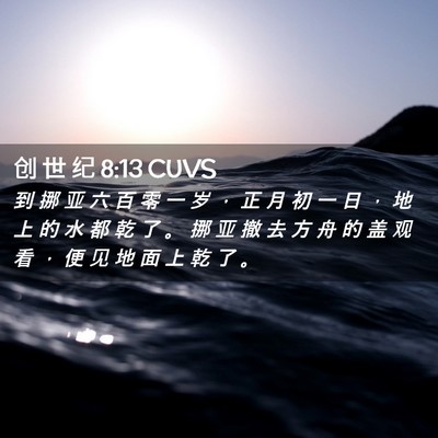 Picture 02 - 创 世 纪 8:13 CUVS - 到 挪 亚 六 百 零 一 岁 ， 正 月 初 - Bible Verse Picture