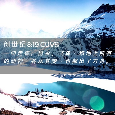 Picture 02 - 创 世 纪 8:19 CUVS - 一 切 走 兽 、 昆 虫 、 飞 鸟 ， 和 - Bible Verse Picture