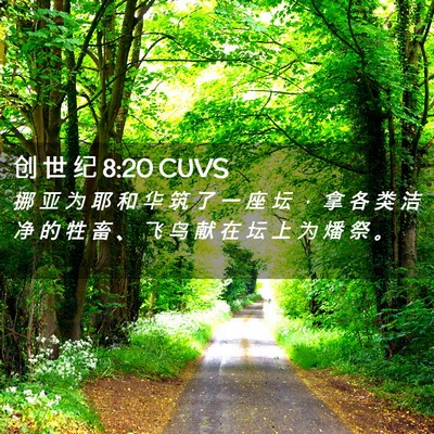 Picture 02 - 创 世 纪 8:20 CUVS - 挪 亚 为 耶 和 华 筑 了 一 座 坛 ， - Bible Verse Picture