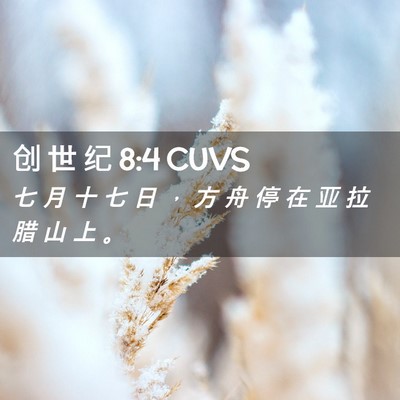 Picture 02 - 创 世 纪 8:4 CUVS - 七 月 十 七 日 ， 方 舟 停 在 亚 拉 - Bible Verse Picture