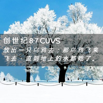 Picture 02 - 创 世 纪 8:7 CUVS - 放 出 一 只 乌 鸦 去 ； 那 乌 鸦 飞 - Bible Verse Picture