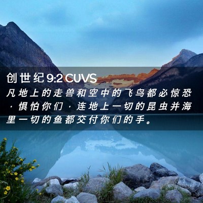 Picture 02 - 创 世 纪 9:2 CUVS - 凡 地 上 的 走 兽 和 空 中 的 飞 鸟 - Bible Verse Picture