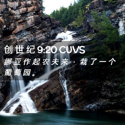 Picture 02 - 创 世 纪 9:20 CUVS - 挪 亚 作 起 农 夫 来 ， 栽 了 一 个 - Bible Verse Picture