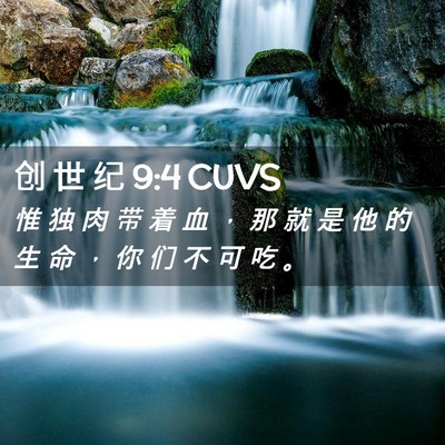 Picture 02 - 创 世 纪 9:4 CUVS - 惟 独 肉 带 着 血 ， 那 就 是 他 的 - Bible Verse Picture