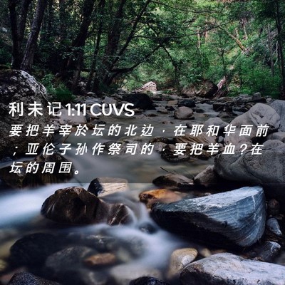 Picture 02 - 利 未 记 1:11 CUVS - 要 把 羊 宰 於 坛 的 北 边 ， 在 耶 - Bible Verse Picture