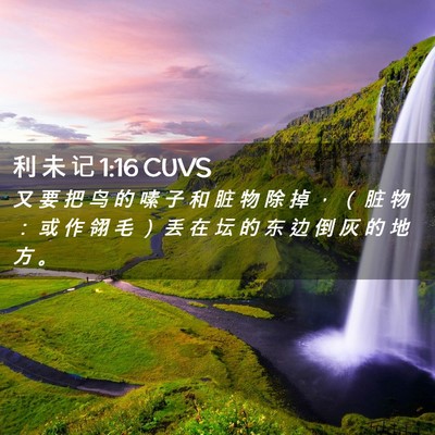 Picture 02 - 利 未 记 1:16 CUVS - 又 要 把 鸟 的 嗉 子 和 脏 物 除 掉 - Bible Verse Picture