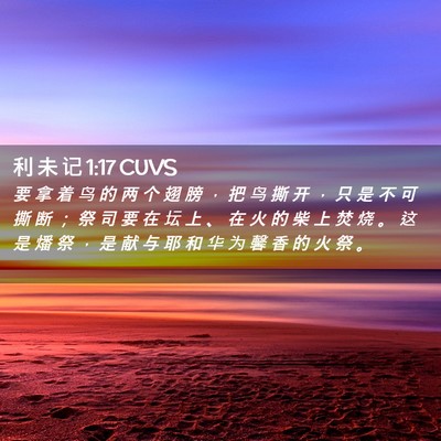 Picture 02 - 利 未 记 1:17 CUVS - 要 拿 着 鸟 的 两 个 翅 膀 ， 把 鸟 - Bible Verse Picture