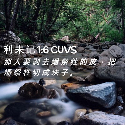Picture 02 - 利 未 记 1:6 CUVS - 那 人 要 剥 去 燔 祭 牲 的 皮 ， 把 - Bible Verse Picture