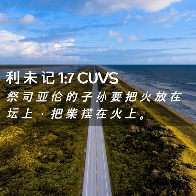 Picture 02 - 利 未 记 1:7 CUVS - 祭 司 亚 伦 的 子 孙 要 把 火 放 在 - Bible Verse Picture