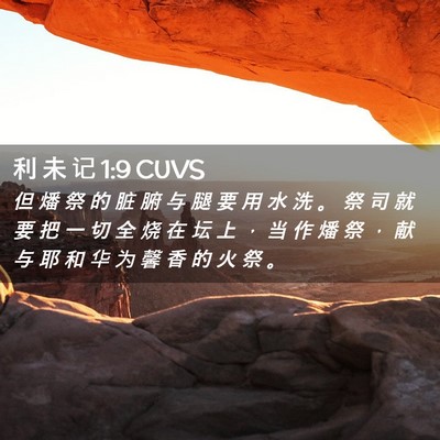 Picture 02 - 利 未 记 1:9 CUVS - 但 燔 祭 的 脏 腑 与 腿 要 用 水 洗 - Bible Verse Picture