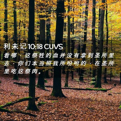 Picture 02 - 利 未 记 10:18 CUVS - 看 哪 ， 这 祭 牲 的 血 并 没 有 拿 - Bible Verse Picture