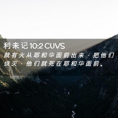 Picture 02 - 利 未 记 10:2 CUVS - 就 有 火 从 耶 和 华 面 前 出 来 ， - Bible Verse Picture
