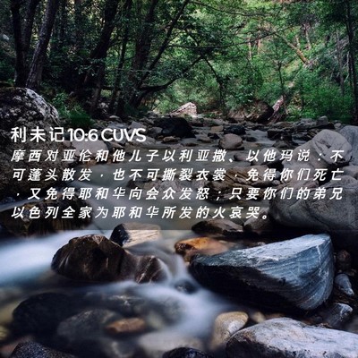 Picture 02 - 利 未 记 10:6 CUVS - 摩 西 对 亚 伦 和 他 儿 子 以 利 亚 - Bible Verse Picture