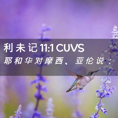 Picture 02 - 利 未 记 11:1 CUVS - 耶 和 华 对 摩 西 、 亚 伦 说 - Bible Verse Picture