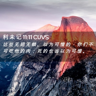 Picture 02 - 利 未 记 11:11 CUVS - 这 些 无 翅 无 鳞 、 以 为 可 憎 的 - Bible Verse Picture