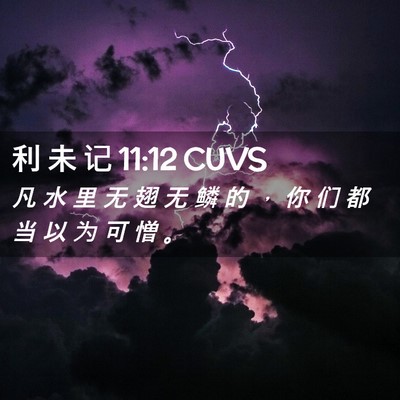Picture 02 - 利 未 记 11:12 CUVS - 凡 水 里 无 翅 无 鳞 的 ， 你 们 都 - Bible Verse Picture