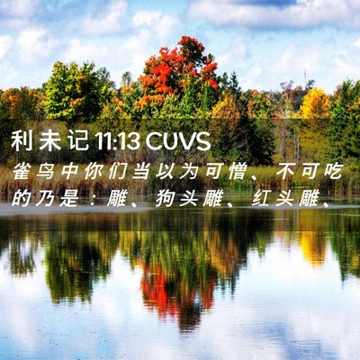 Picture 02 - 利 未 记 11:13 CUVS - 雀 鸟 中 你 们 当 以 为 可 憎 、 不 - Bible Verse Picture