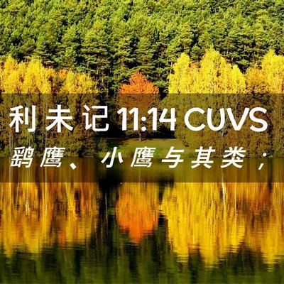 Picture 02 - 利 未 记 11:14 CUVS - 鹞 鹰 、 小 鹰 与 其 类 - Bible Verse Picture