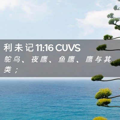 Picture 02 - 利 未 记 11:16 CUVS - 鸵 鸟 、 夜 鹰 、 鱼 鹰 、 鹰 与 其 - Bible Verse Picture