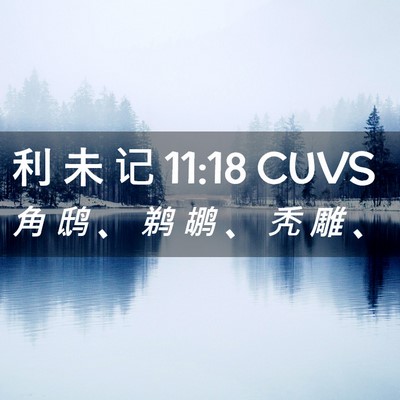 Picture 02 - 利 未 记 11:18 CUVS - 角 鸱 、 鹈 鹕 、 秃 雕 - Bible Verse Picture