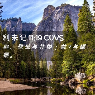 Picture 02 - 利 未 记 11:19 CUVS - 鹳 、 鹭 鸶 与 其 类 ； 戴 ? 与 蝙 蝠 - Bible Verse Picture