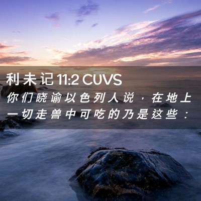Picture 02 - 利 未 记 11:2 CUVS - 你 们 晓 谕 以 色 列 人 说 ， 在 地 - Bible Verse Picture