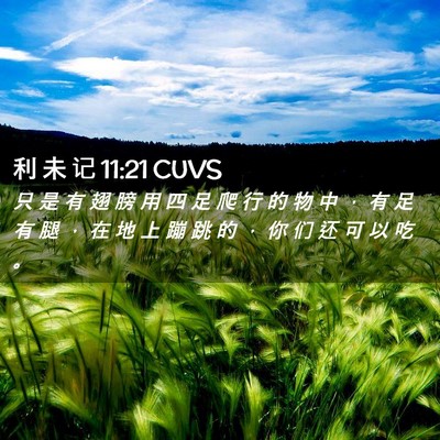 Picture 02 - 利 未 记 11:21 CUVS - 只 是 有 翅 膀 用 四 足 爬 行 的 物 - Bible Verse Picture