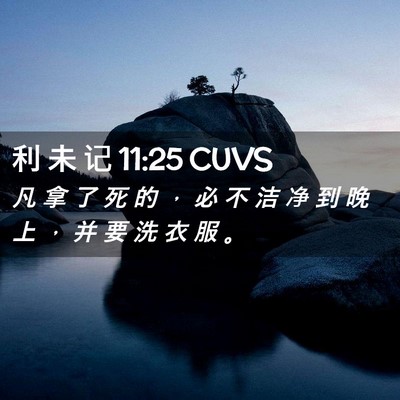 Picture 02 - 利 未 记 11:25 CUVS - 凡 拿 了 死 的 ， 必 不 洁 净 到 晚 - Bible Verse Picture