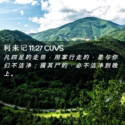 Picture 02 - 利 未 记 11:27 CUVS - 凡 四 足 的 走 兽 ， 用 掌 行 走 的 - Bible Verse Picture