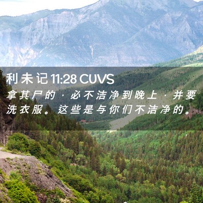 Picture 02 - 利 未 记 11:28 CUVS - 拿 其 尸 的 ， 必 不 洁 净 到 晚 上 - Bible Verse Picture