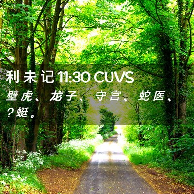 Picture 02 - 利 未 记 11:30 CUVS - 壁 虎 、 龙 子 、 守 宫 、 蛇 医 、 ? - Bible Verse Picture