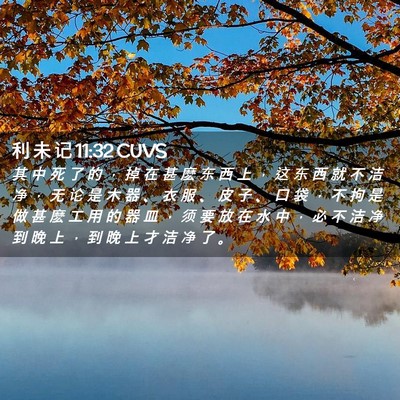 Picture 02 - 利 未 记 11:32 CUVS - 其 中 死 了 的 ， 掉 在 甚 麽 东 西 - Bible Verse Picture