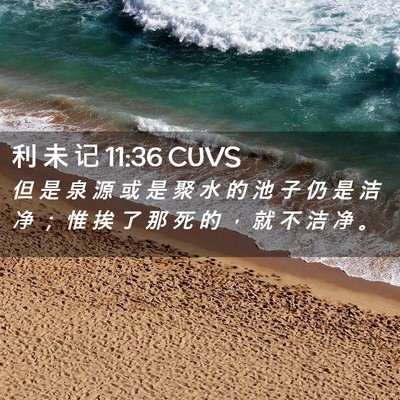 Picture 02 - 利 未 记 11:36 CUVS - 但 是 泉 源 或 是 聚 水 的 池 子 仍 - Bible Verse Picture