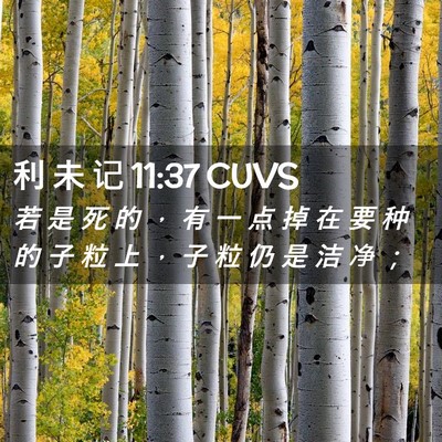 Picture 02 - 利 未 记 11:37 CUVS - 若 是 死 的 ， 有 一 点 掉 在 要 种 - Bible Verse Picture