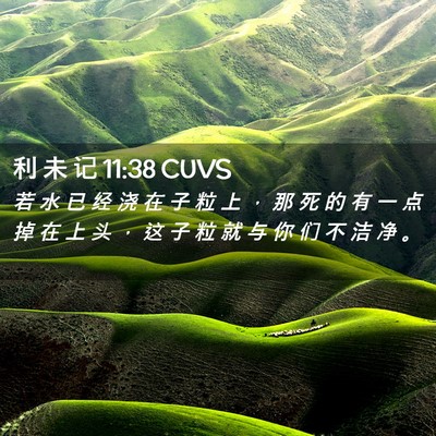 Picture 02 - 利 未 记 11:38 CUVS - 若 水 已 经 浇 在 子 粒 上 ， 那 死 - Bible Verse Picture
