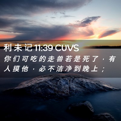 Picture 02 - 利 未 记 11:39 CUVS - 你 们 可 吃 的 走 兽 若 是 死 了 ， - Bible Verse Picture