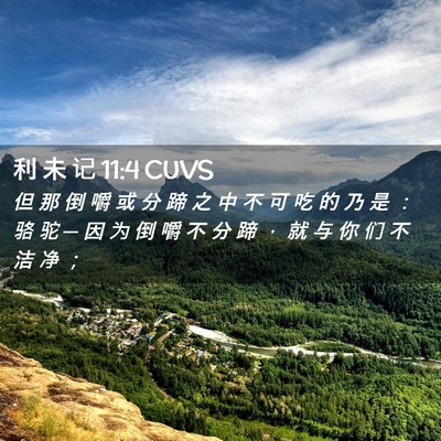 Picture 02 - 利 未 记 11:4 CUVS - 但 那 倒 嚼 或 分 蹄 之 中 不 可 吃 - Bible Verse Picture