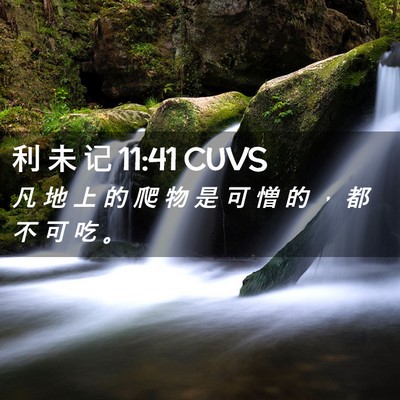 Picture 02 - 利 未 记 11:41 CUVS - 凡 地 上 的 爬 物 是 可 憎 的 ， 都 - Bible Verse Picture