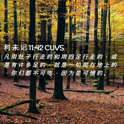 Picture 02 - 利 未 记 11:42 CUVS - 凡 用 肚 子 行 走 的 和 用 四 足 行 - Bible Verse Picture