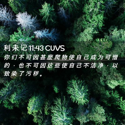 Picture 02 - 利 未 记 11:43 CUVS - 你 们 不 可 因 甚 麽 爬 物 使 自 己 - Bible Verse Picture