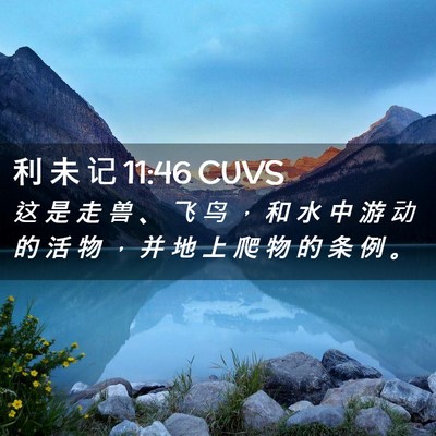Picture 02 - 利 未 记 11:46 CUVS - 这 是 走 兽 、 飞 鸟 ， 和 水 中 游 - Bible Verse Picture