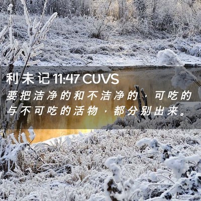 Picture 02 - 利 未 记 11:47 CUVS - 要 把 洁 净 的 和 不 洁 净 的 ， 可 - Bible Verse Picture