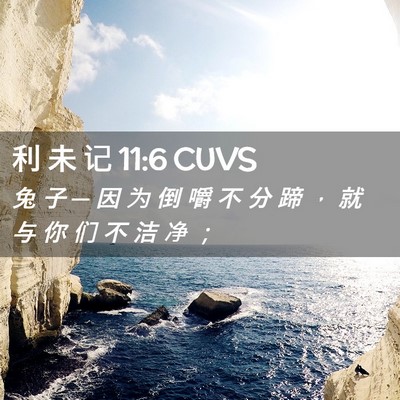 Picture 02 - 利 未 记 11:6 CUVS - 兔 子 ─ 因 为 倒 嚼 不 分 蹄 ， 就 - Bible Verse Picture