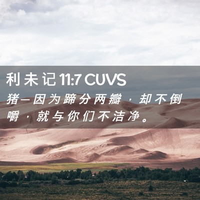 Picture 02 - 利 未 记 11:7 CUVS - 猪 ─ 因 为 蹄 分 两 瓣 ， 却 不 倒 - Bible Verse Picture