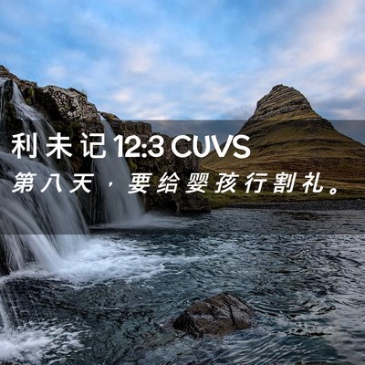 Picture 02 - 利 未 记 12:3 CUVS - 第 八 天 ， 要 给 婴 孩 行 割 礼 - Bible Verse Picture