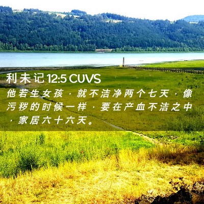 Picture 02 - 利 未 记 12:5 CUVS - 他 若 生 女 孩 ， 就 不 洁 净 两 个 - Bible Verse Picture